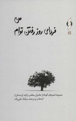 عکس من فردای روز رفتن توام