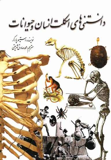 عکس دانستنی‌های اسکلت انسان و حیوانات