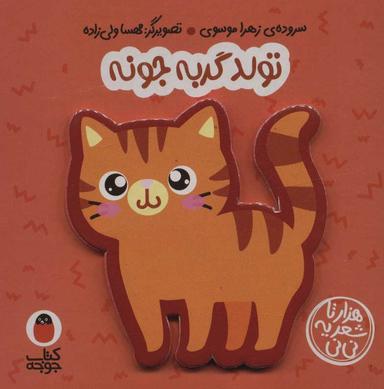 عکس تولد گربه جونه