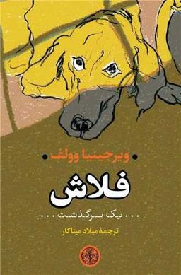 عکس فلاش