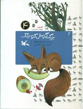 عکس بزرگ‌گوش کوچک