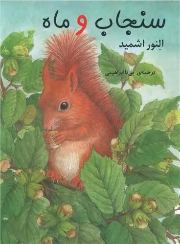 عکس سنجاب و ماه