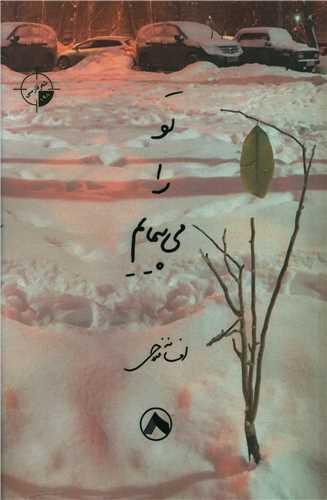 عکس تو را می‌پیمایم
