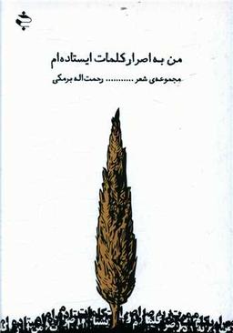 عکس من به اصرار کلمات ایستاده‌ام