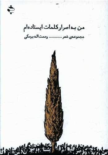 عکس من به اصرار کلمات ایستاده‌ام