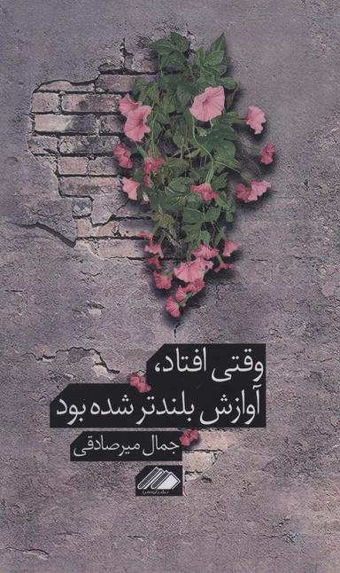 عکس وقتی افتاد، آوازش بلندتر شده بود