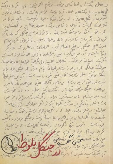 عکس در جنگل بلوط