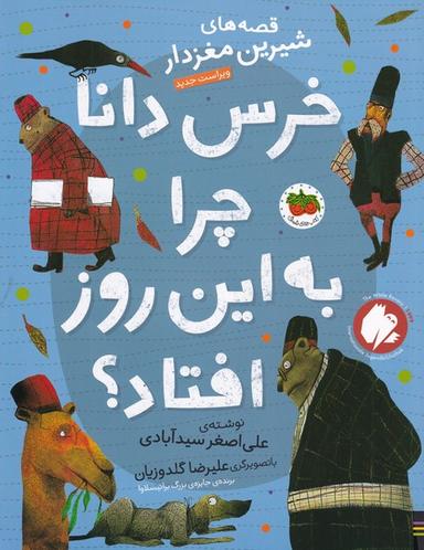 عکس خرس دانا چرا به این روز افتاد؟