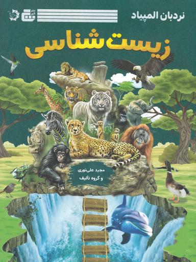 عکس نردبان المپیاد زیست شناسی گچ