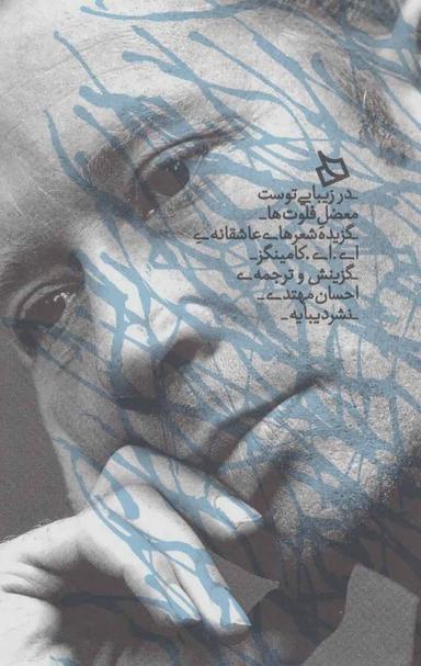 عکس در زیبایی توست معضل فلوت‎‌ها