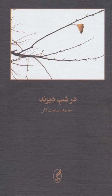 عکس در شب دیرند