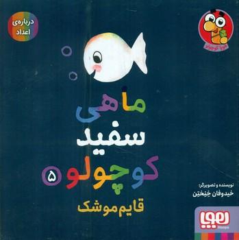 عکس قایم‌موشک