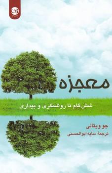 عکس معجزه: (شش گام تا روشنگری و بیداری)