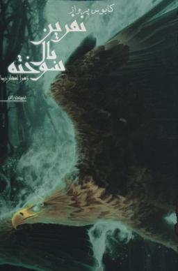 عکس نفرین بال سوخته