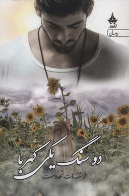 عکس دو سنگ یکی کهربا