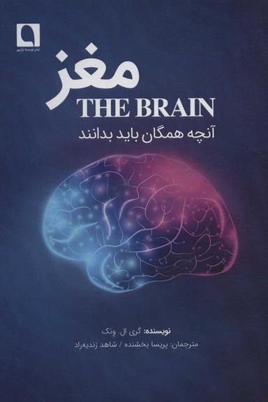 عکس مغز: آنچه همگان باید بدانند