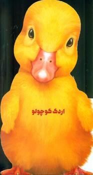 عکس اردک کوچولو