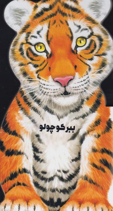 عکس ببر کوچولو