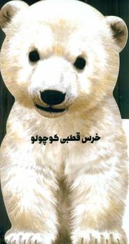 عکس های سری داستان زندگی زنبور