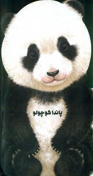 عکس پاندا کوچولو