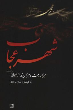 عکس شهر عجاب: هزار بیت و هزار پند از مولانا