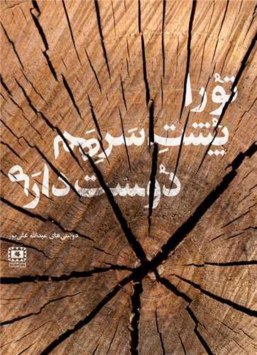 عکس تو را پشت سر هم دوست دارم