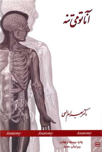 عکس آناتومی تنه