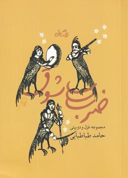 عکس ضرب شوق: مجموعه غزل و دوبیتی