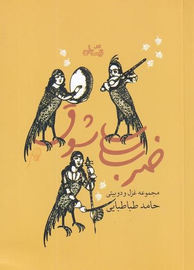 عکس ضرب شوق: مجموعه غزل و دوبیتی