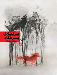 عکس بر لبهٔ پرتگاه