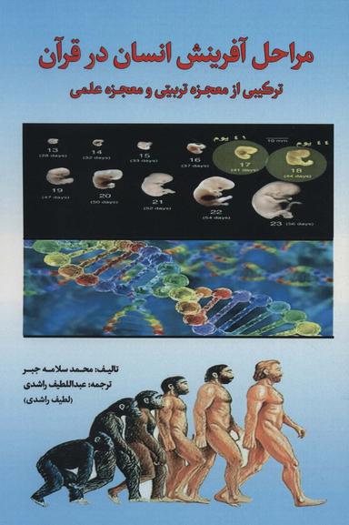 عکس مراحل آفرینش انسان در قرآن، ترکیبی از معجزه تربیتی و معجزه علمی