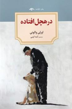 عکس در هچل افتاده