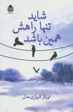 عکس شاید تنها راهش همین باشد