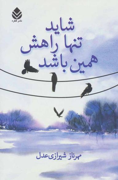 عکس شاید تنها راهش همین باشد