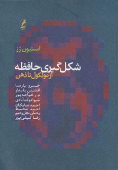 عکس شکل‌گیری حافظه از مولکول تا ذهن
