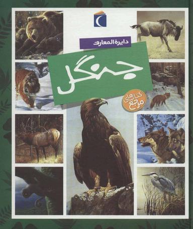 عکس دایره المعارف جنگل