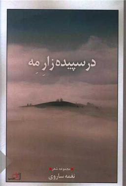 عکس در سپیده‌زار مه