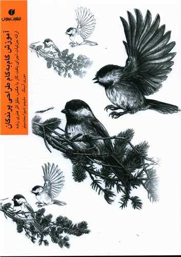 عکس آموزش گام به گام طراحی پرندگان