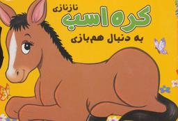 عکس کره اسب نازنازی به دنبال همبازی