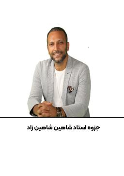 عکس جزوه ادبیات استاد شاهین شاهین زاد