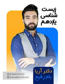 عکس جزوه زیست یازدهم استاد آریا بام رفیع ۱۴۰۲ - فصل تنظیم عصبی (رنگی)