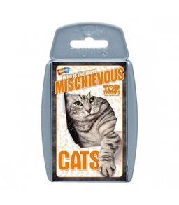 عکس بازی گربه تاپ ترامپس Cats Top Trumps