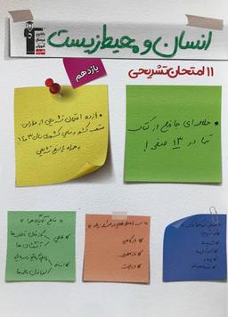 عکس ۱۱ آزمون تشریحی انسان و محیط زیست یازدهم قلم چی