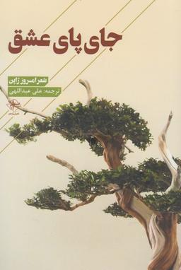 عکس جای پای عشق
