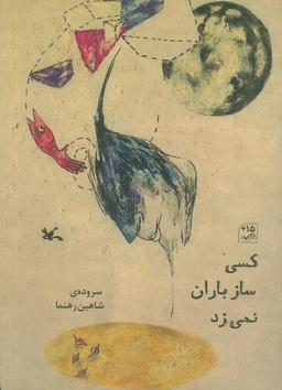 عکس کسی ساز باران نمی‌زد (گلاسه)