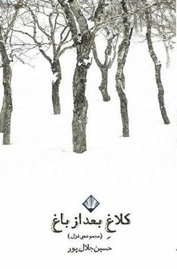 عکس کلاغ بعد از باغ (مجموعهٔ غزل)