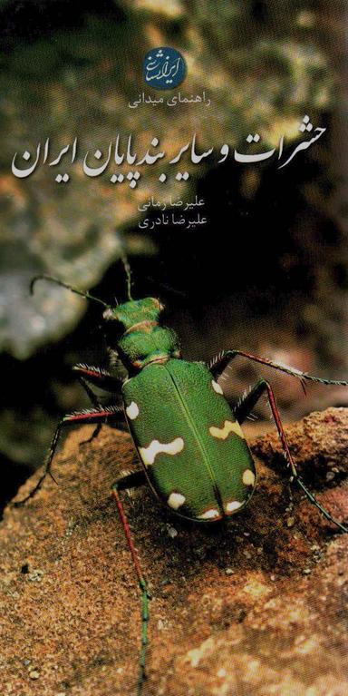 عکس راهنمای میدانی حشرات و سایر بندپایان ایران (گلاسه)