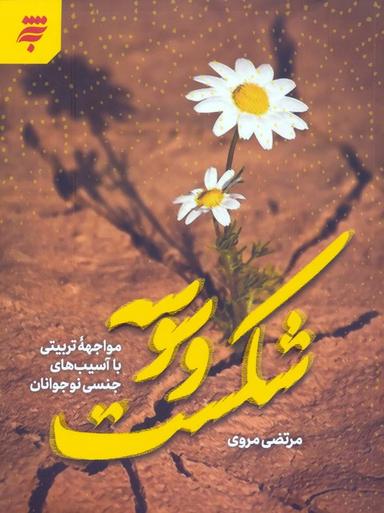 عکس شکست وسوسه (مواجهه تربیتی با آسیب‌های جنسی نوجوانان)