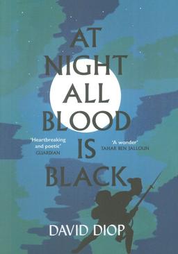 عکس AT NIGHT ALL BLOOD IS BLACK:در شب همه خون‌ها سیاه است (زبان اصلی، انگلیسی)