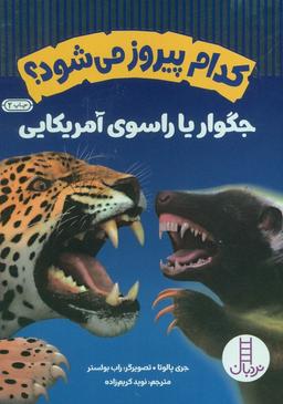 عکس کدام پیروز می‌شود؟ جگوار یا راسوی آمریکایی (گلاسه)